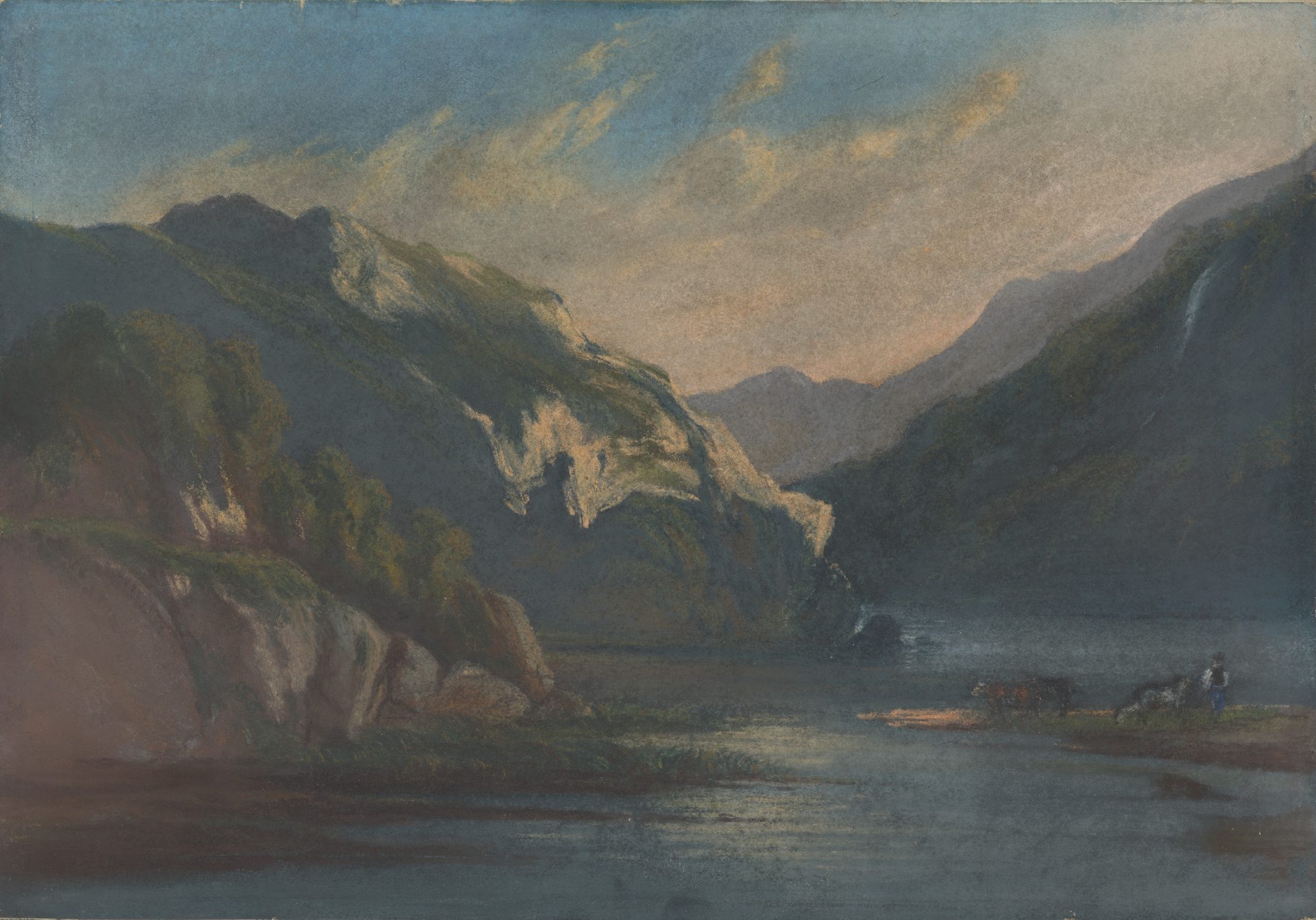 Cici Label